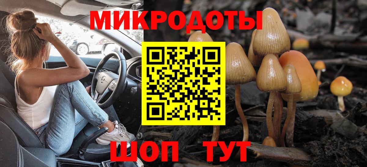Псилоцибиновые грибы Magic Shrooms  Вход с VPN  Галлюциногенные грибы мицелий  Казань 